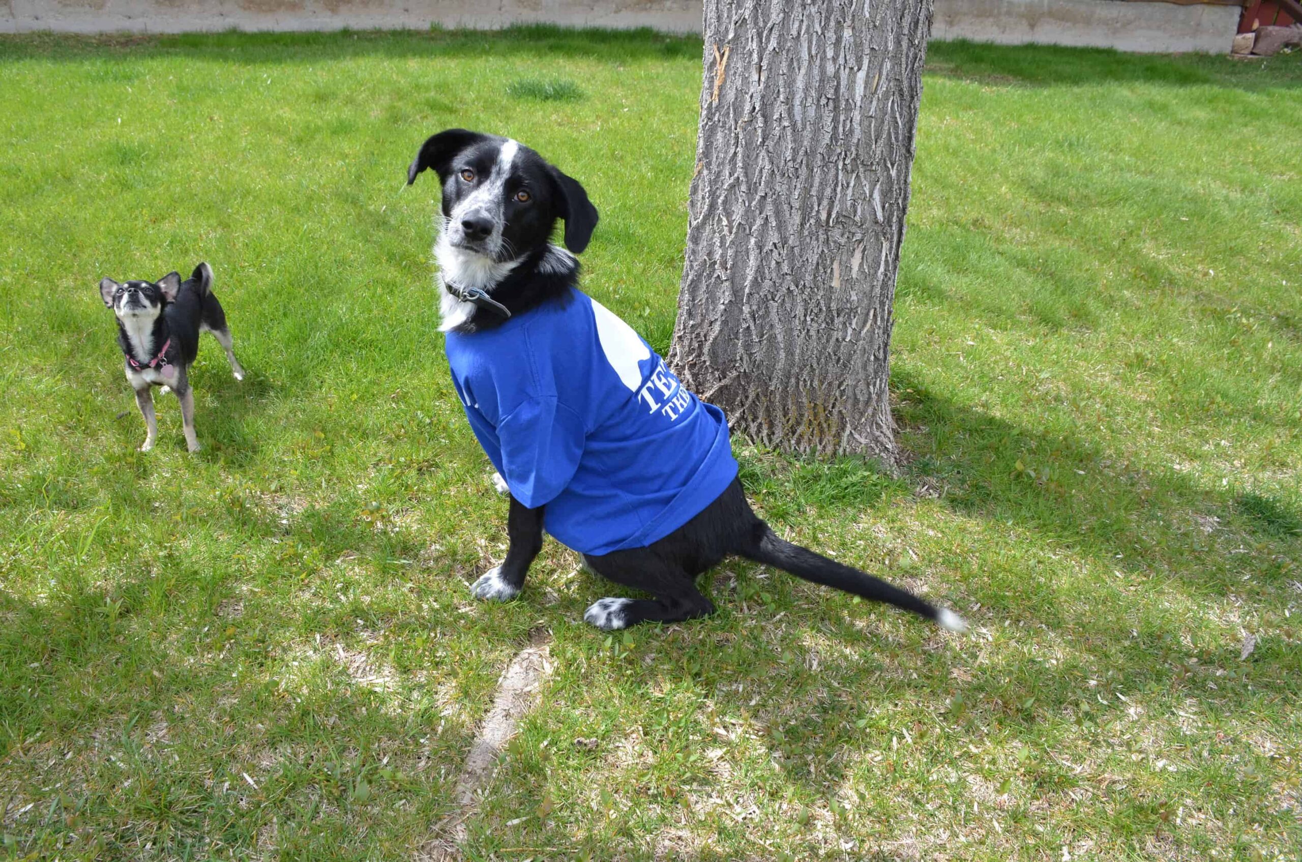 Low Back Pain: A Life Sentence?